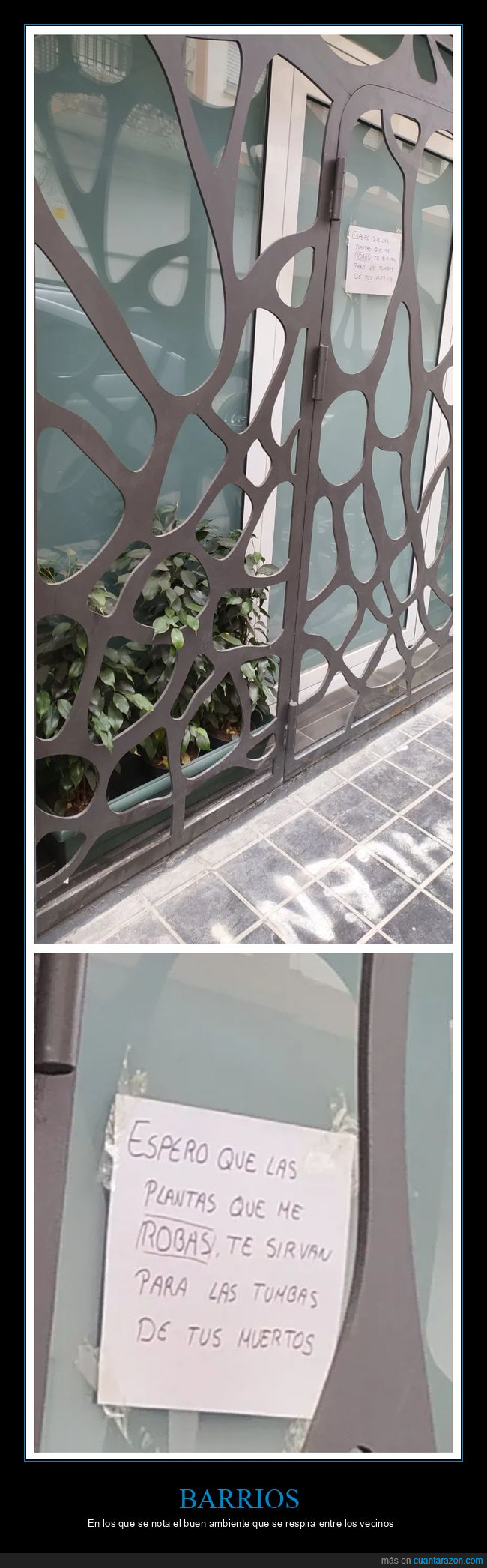 carteles,plantas,robar