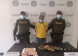 Enlace a Ha caído toda la banda