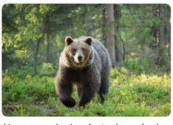 Enlace a El peor despertar