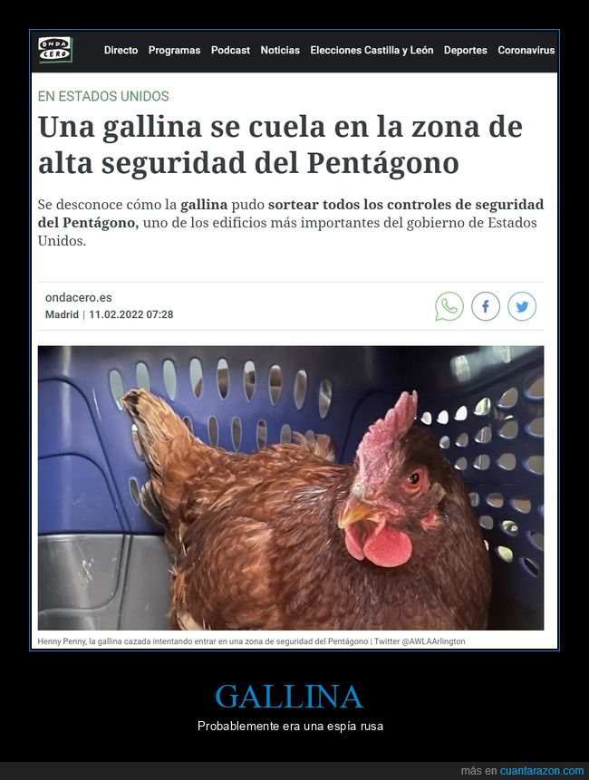 gallina,zona de alta seguridad,pentágono