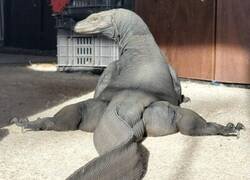 Enlace a Pose sensual