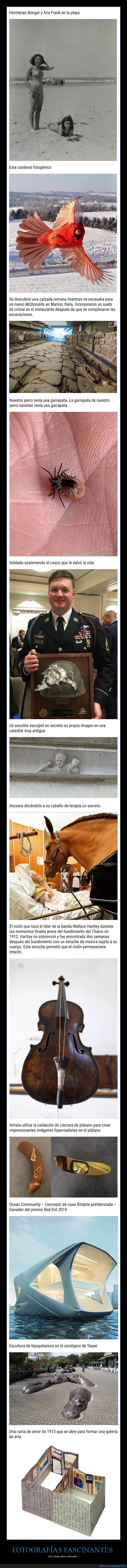 fotografías fascinantes,cosas poco comunes,curiosidades