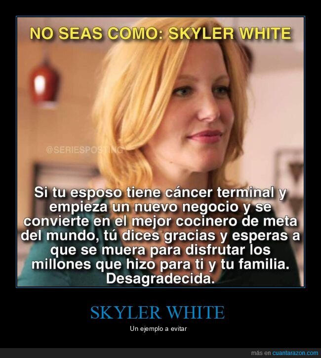 skyler white,breaking bad