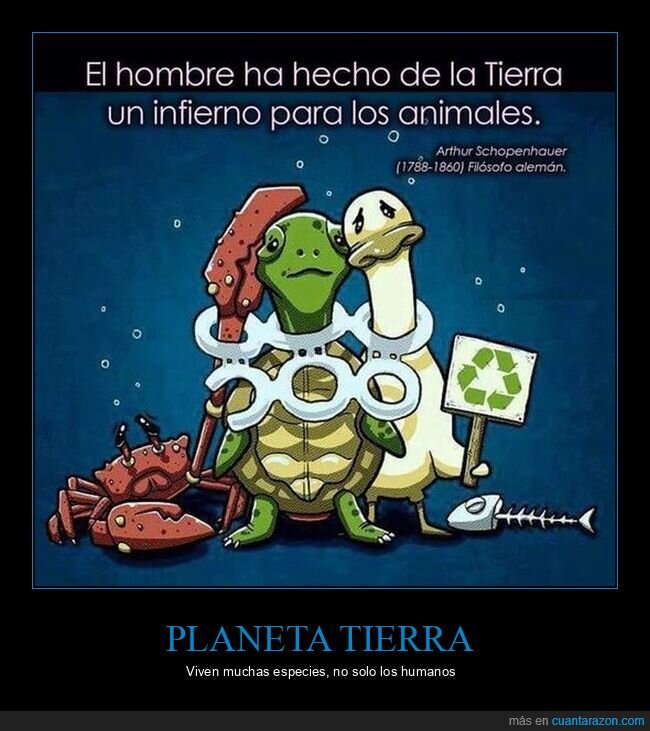 tierra,animales,basura