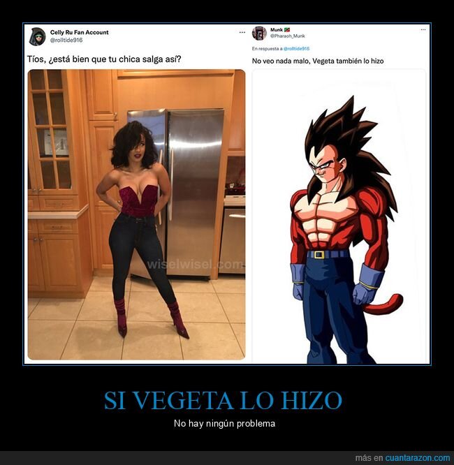 dragon ball,moda,parecidos,ropa,vegeta