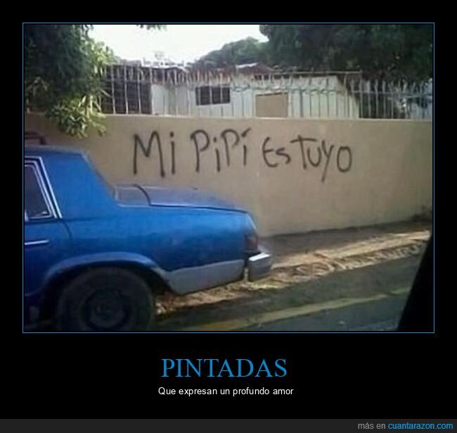 graffitis,pipí,tuyo,wtf