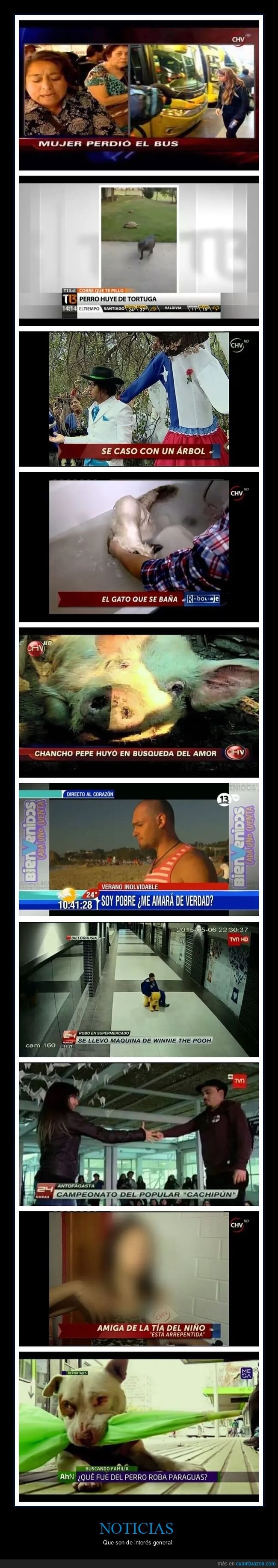 noticias,absurdas,wtf