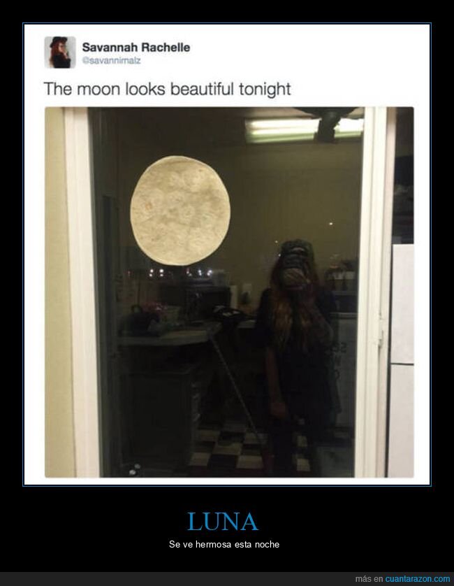 luna,tortita