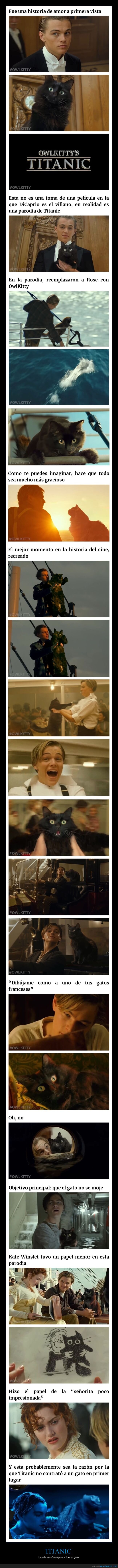 titanic,gato