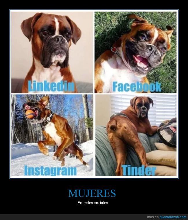 mujeres,redes sociales,perro