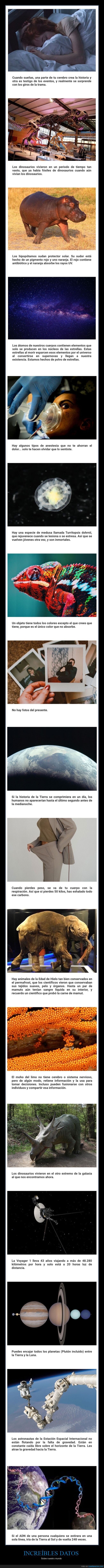 datos interesantes,curiosidades