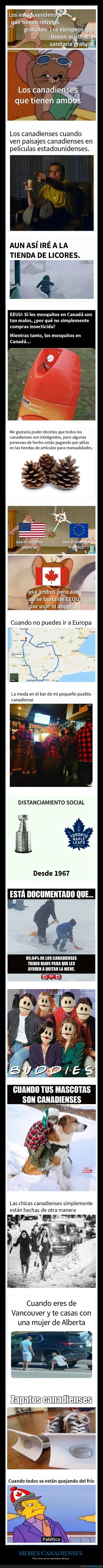 memes,canadienses,estereotipos