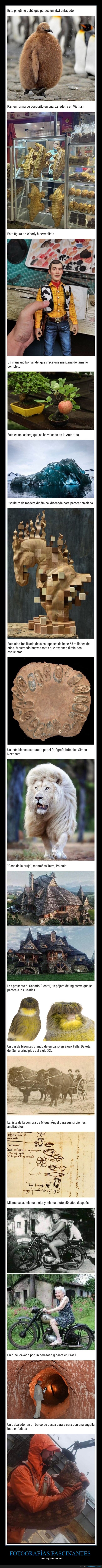 fotografías fascinantes,cosas poco comunes,curiosidades