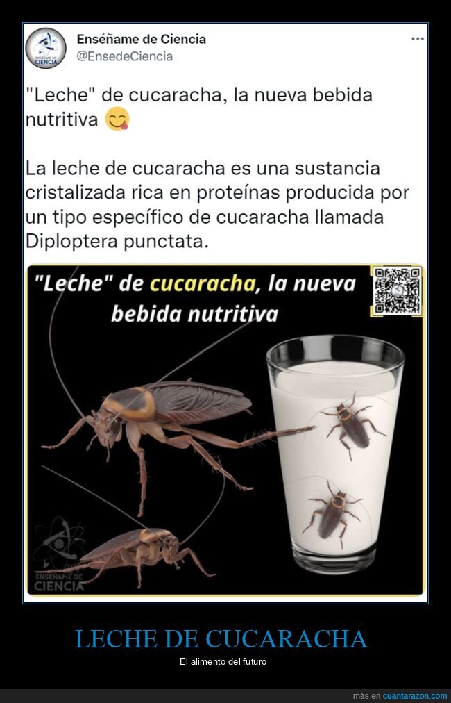 leche,cucaracha,bebida,asco