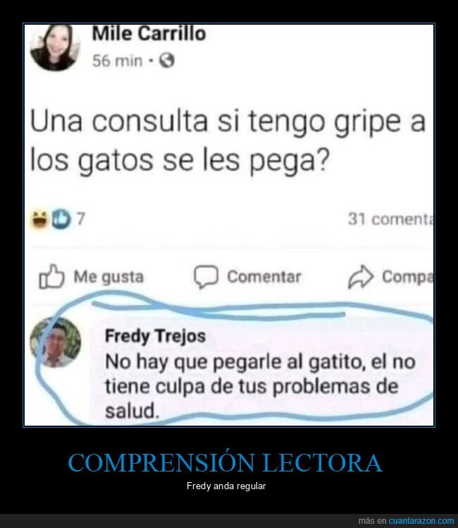 gatos,gripe,pegar