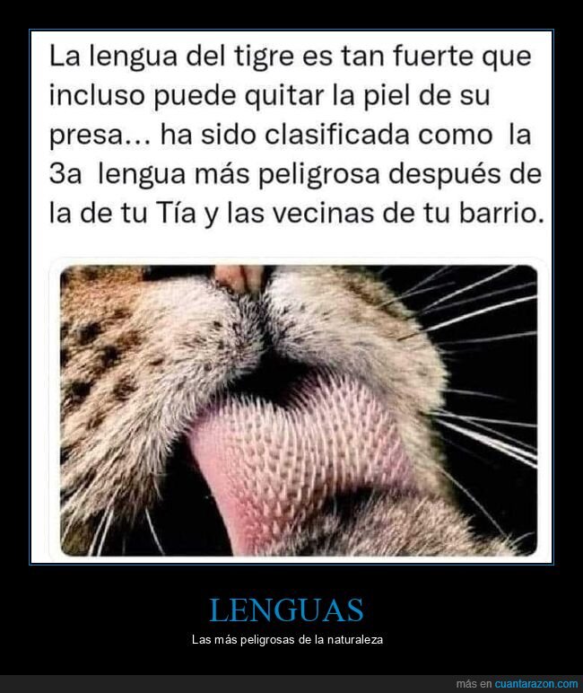 lengua,tigre,peligrosa