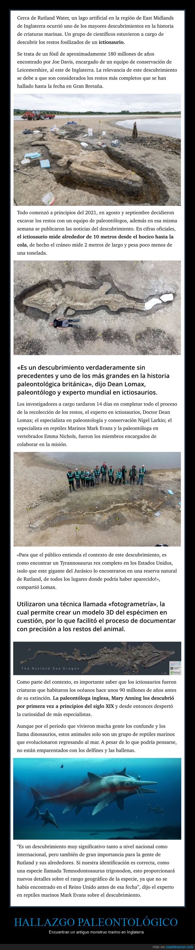 paleontología,hallazgo,ictiosaurio