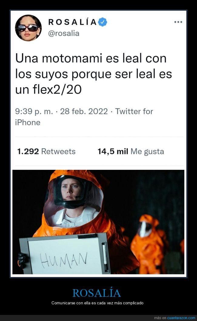 rosal&iacute;a,entender