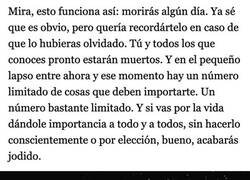 Enlace a La importancia de las cosas