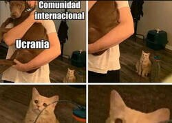 Enlace a Nadie piensa en Palestina...