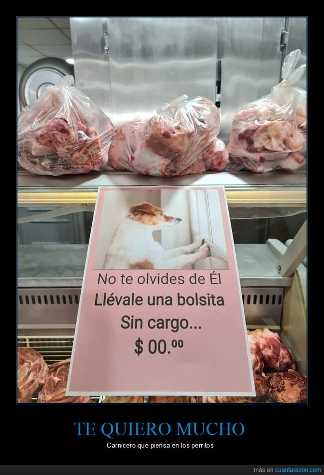 carnicero,bolsa,perros