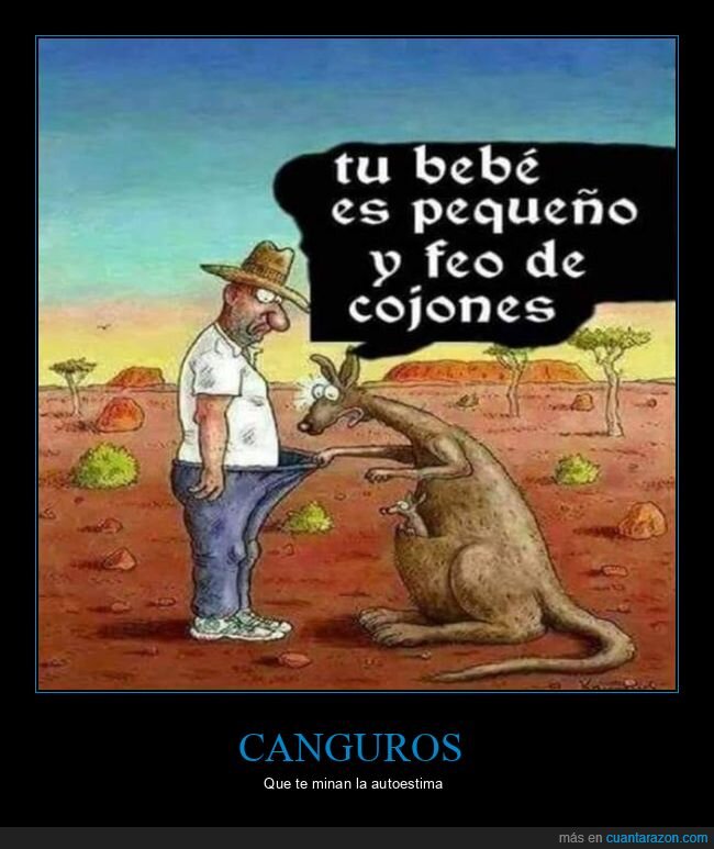 canguro,bebé,pequeño,feo