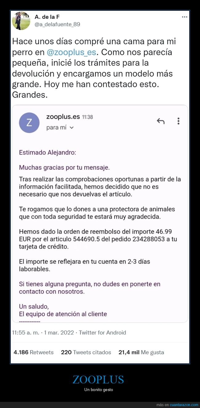 zooplus,cama,perro,donar