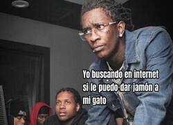 Enlace a Búsqueda de interés