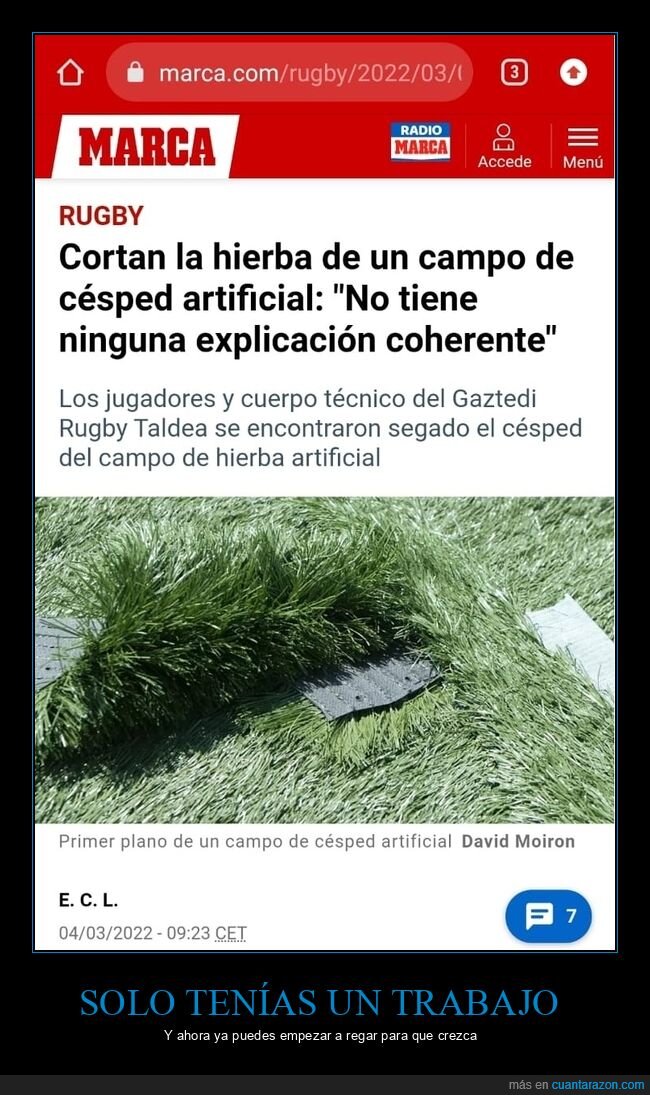 rugby,campo,hierba,cortar,Vitoria-Gasteiz