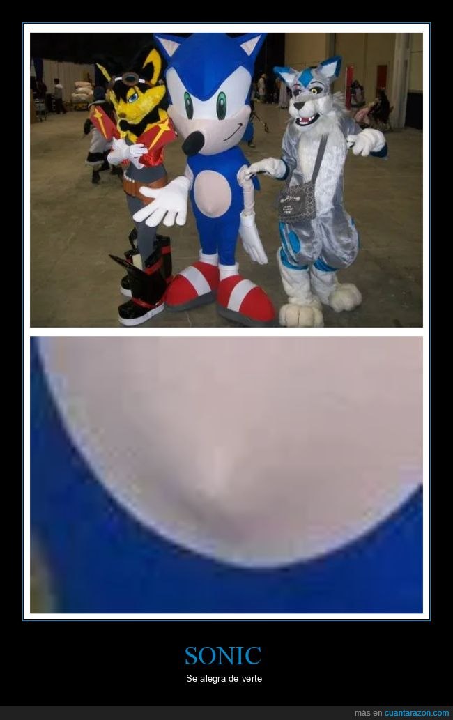 disfraz,sonic,wtf