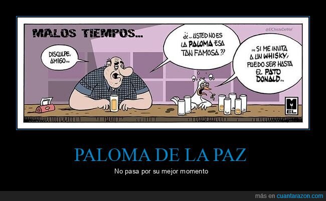 paloma de la paz,bar