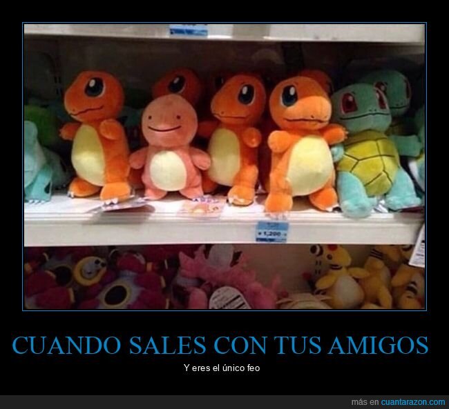 pokemon,peluches,wtf