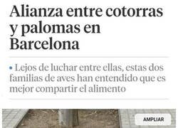 Enlace a Alianza inesperada