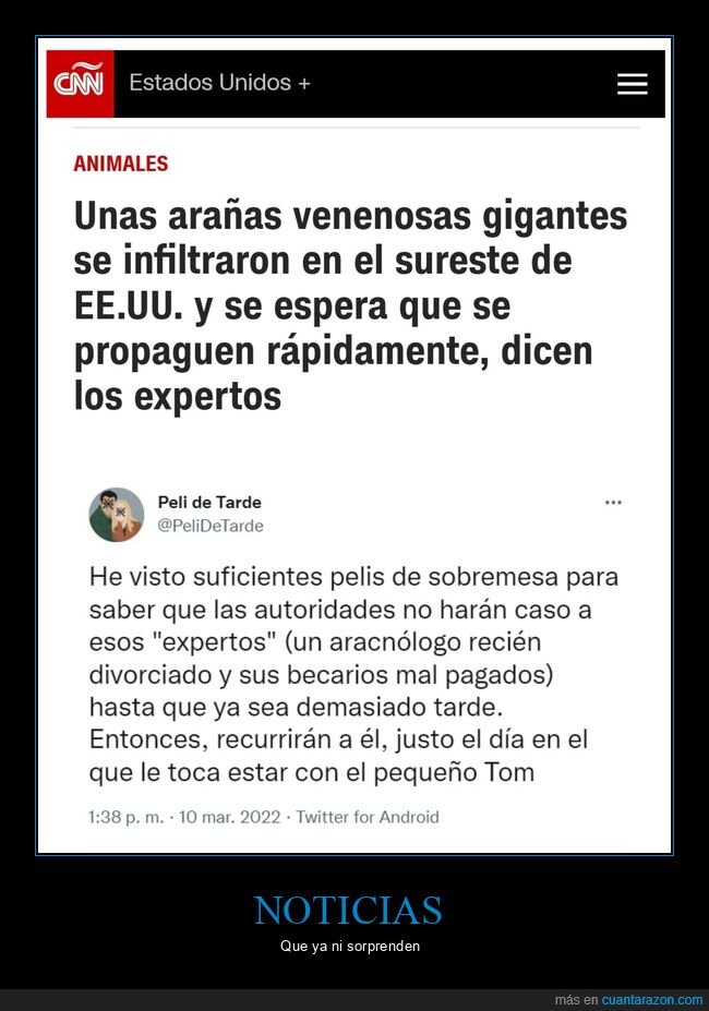 arañas,gigantes,eeuu,película de sobremesa