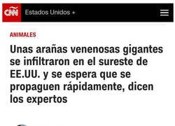 Enlace a Buen argumento para una película