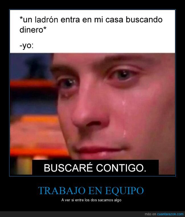 ladrón,buscar,dinero