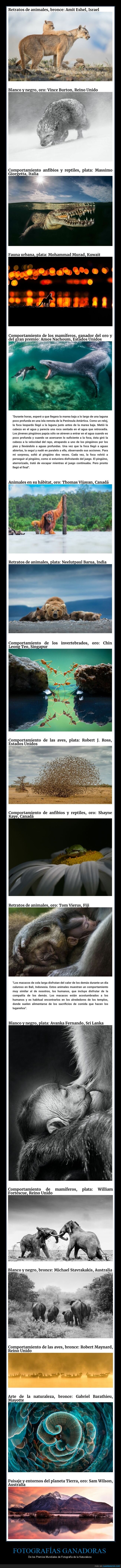 concurso,fotografía,ganadores