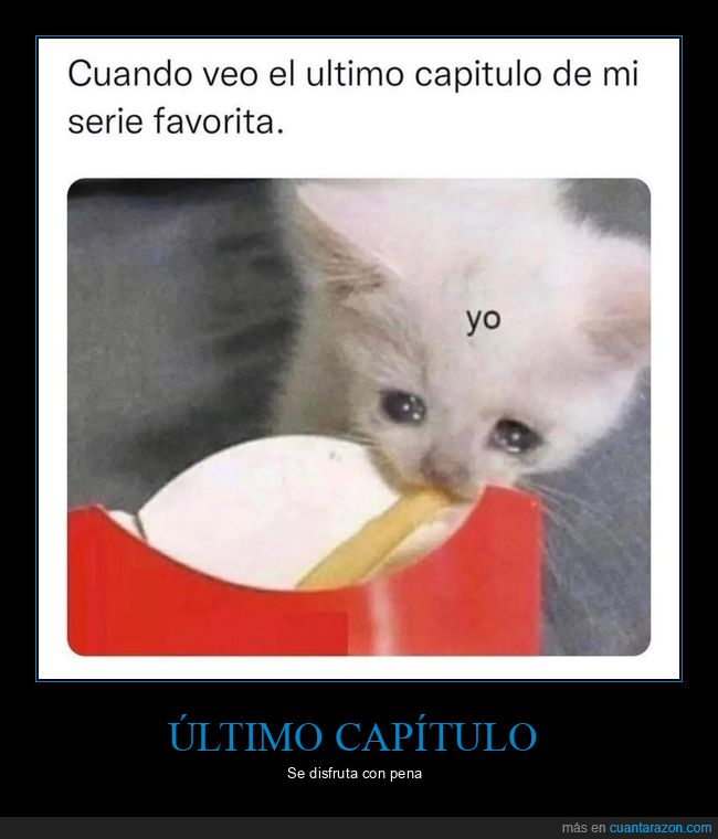 gatos,patata,serie,último capítulo