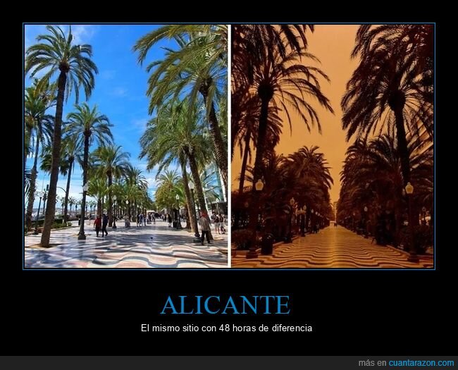 alicante,antes,calima,después,naranja,polvo,wtf