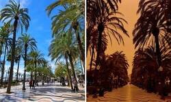 Enlace a Los efectos de la calima