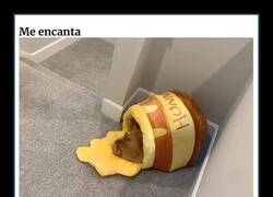 Enlace a Personas con ideas brillantes de diseño