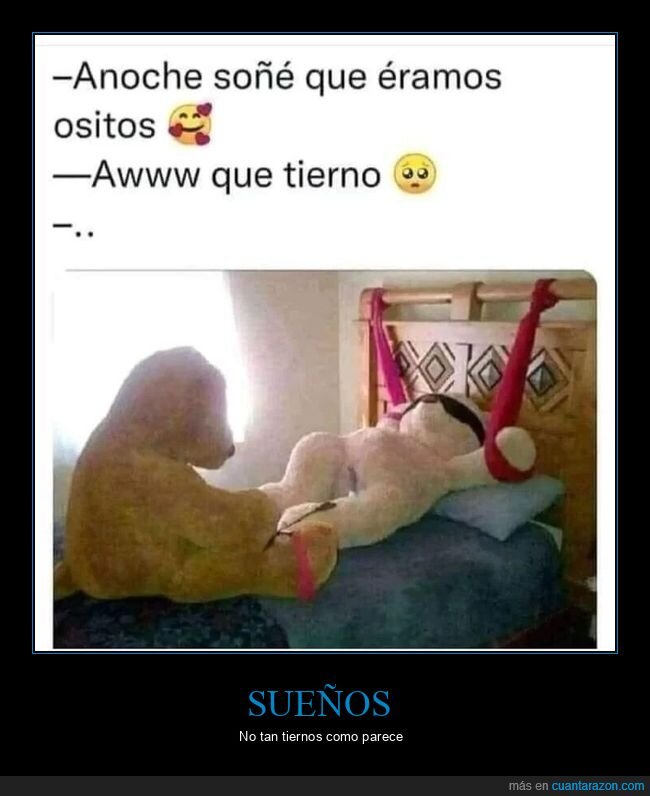 soñar,osos,tierno