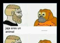 Enlace a Mejor no burlarse...