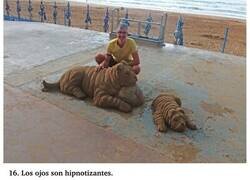 Enlace a Artista hace esculturas de arena hiperrealistas que parecen estar vivas