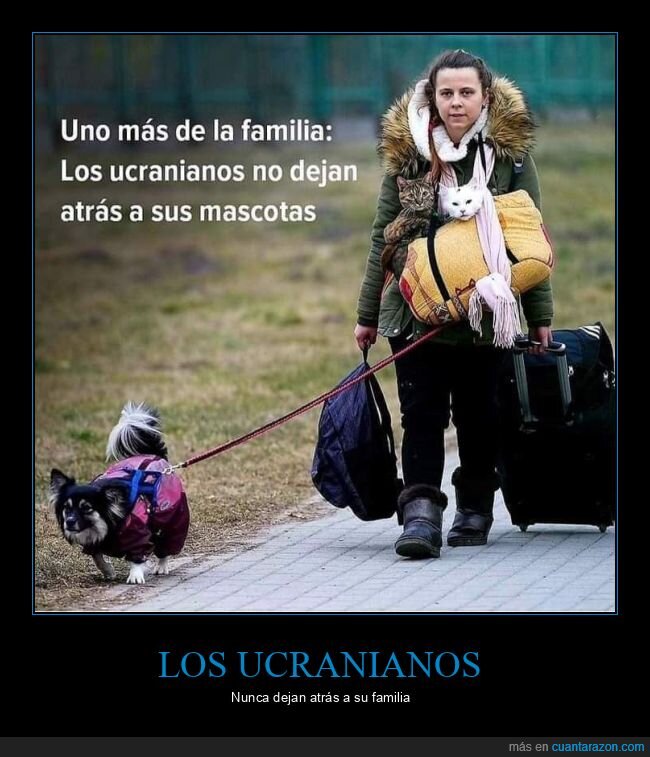 ucranianos,mascotas