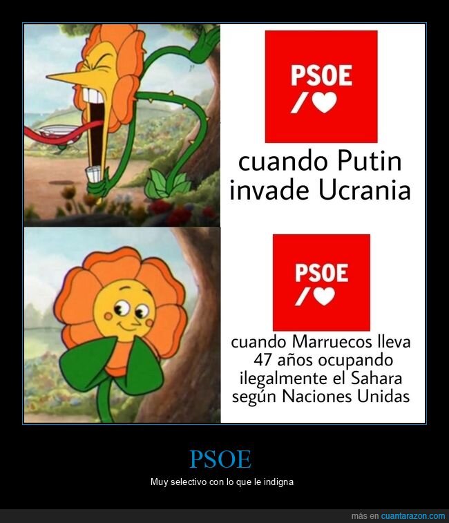 marruecos,psoe,putin,sáhara occidental,ucrania