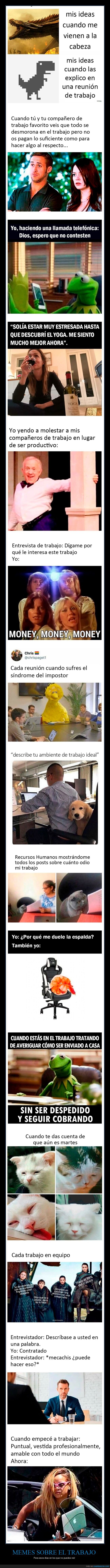 memes,trabajo