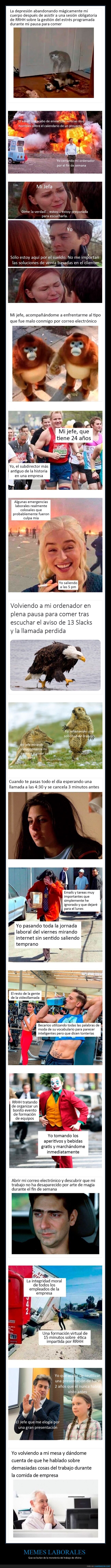 memes,trabajo,oficina
