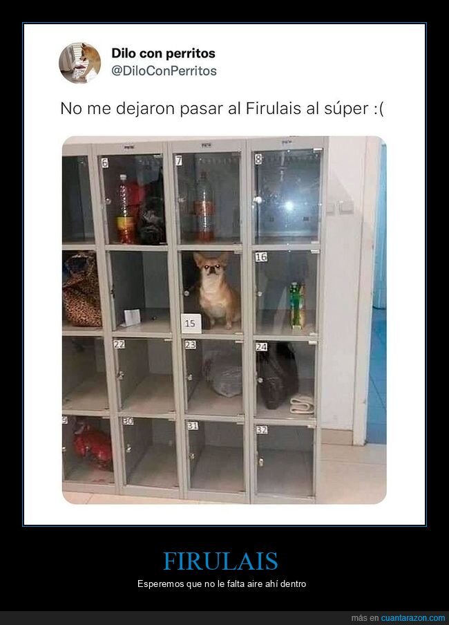 perro,taquilla,supermercado