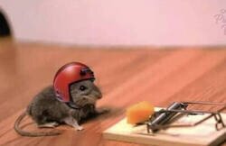 Enlace a Intentándolo de nuevo